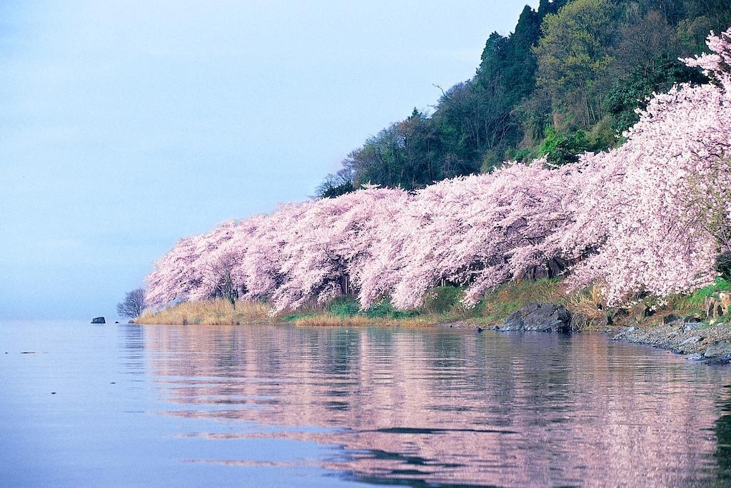 Grand Park Hotel Okubiwako Makino Takashima Esterno foto